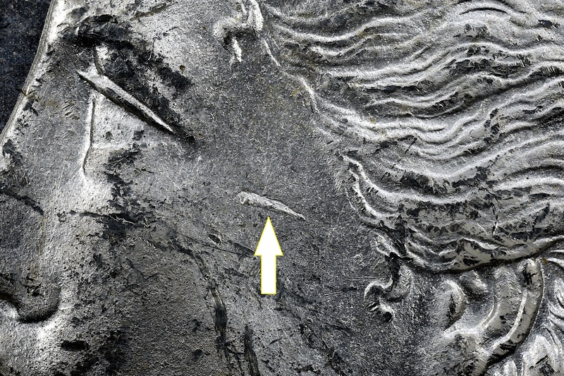 rtm 1884 CC 090216d.jpg