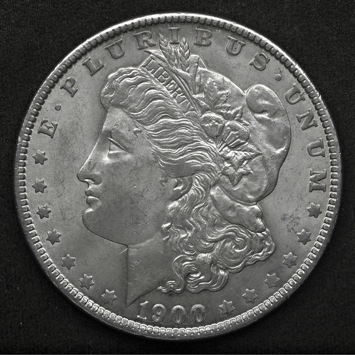 rtm 1900 O LFCP 080617a.JPG