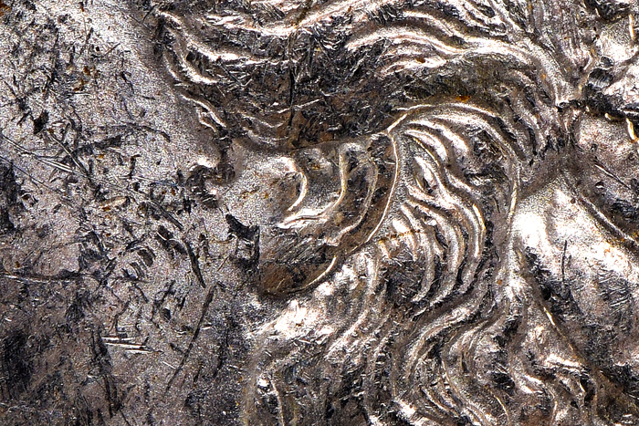 1883O V47 5457 Obv 6123 1440 Ear Land.jpg