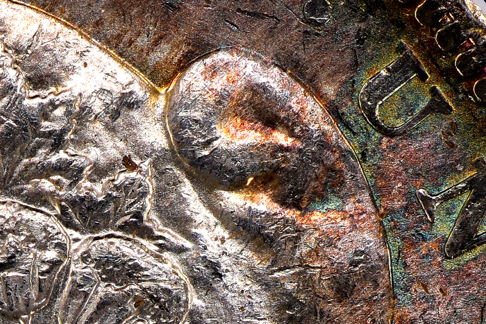 1883O V47 5457 Obv 6123 1440 CapFolds Land.jpg