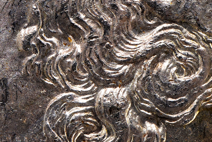 1883O V47 5457 Obv 6123 1440 DVoid Land.jpg