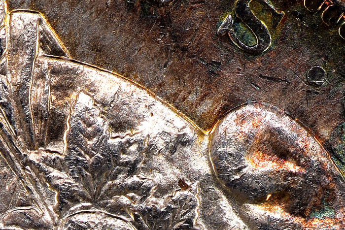 1883O V47 5457 Obv 6123 1440 CapTop Land.jpg