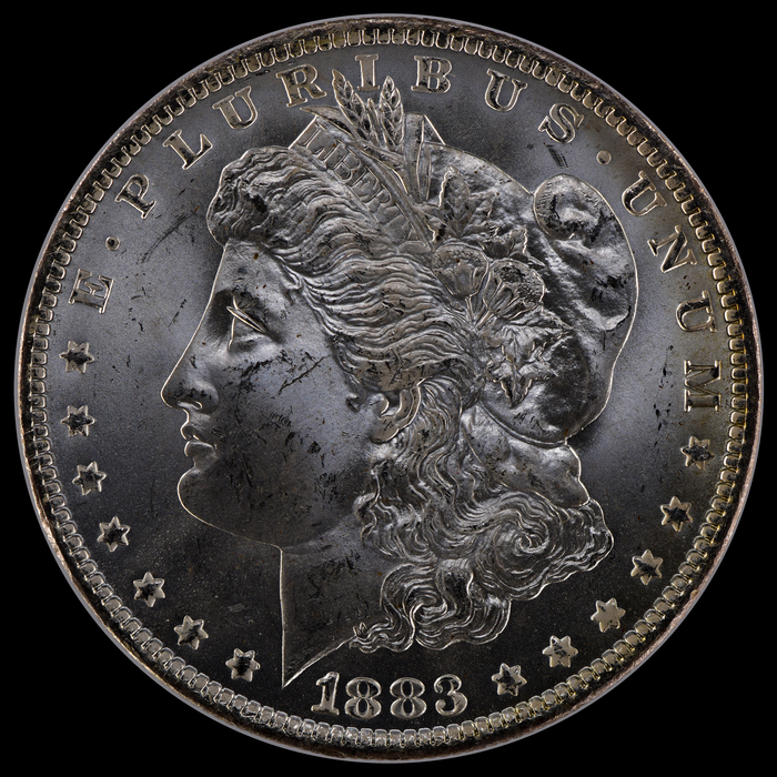 1883O VNA11 0480c Obv 5819 5000 LFCP.jpg