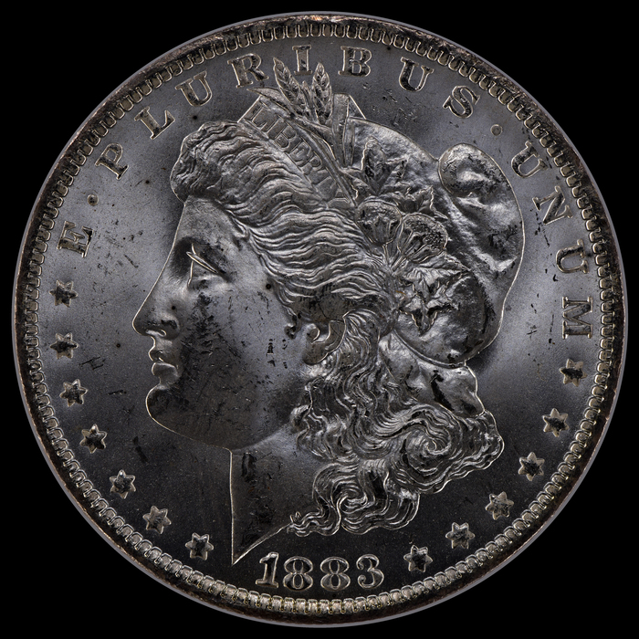 1883O VNA11 5073a Obv 5841 5000 LFCP.jpg