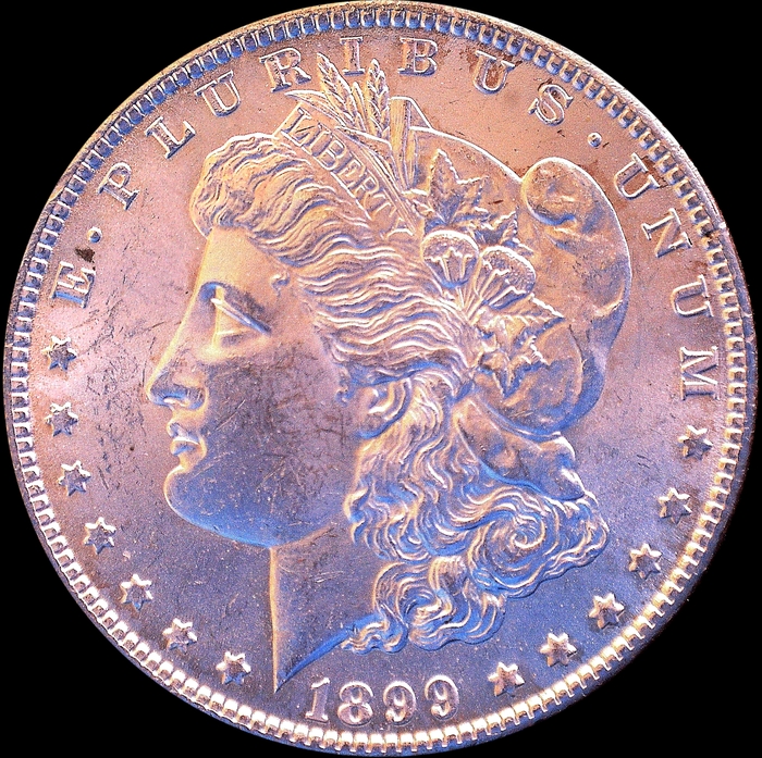 1899O rmg042517 Obv LFCP.jpg