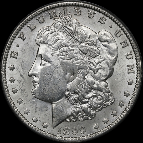 1899O AW081523 Obv LFCP.jpg