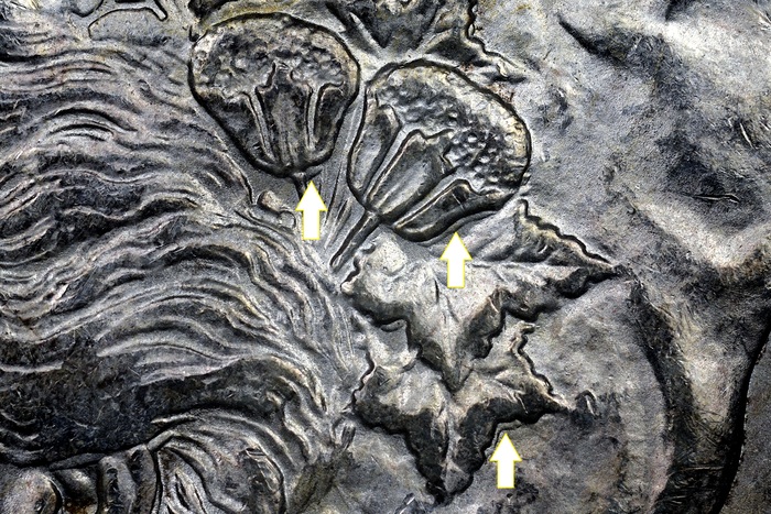 rtm 1902 O 113022y.jpg