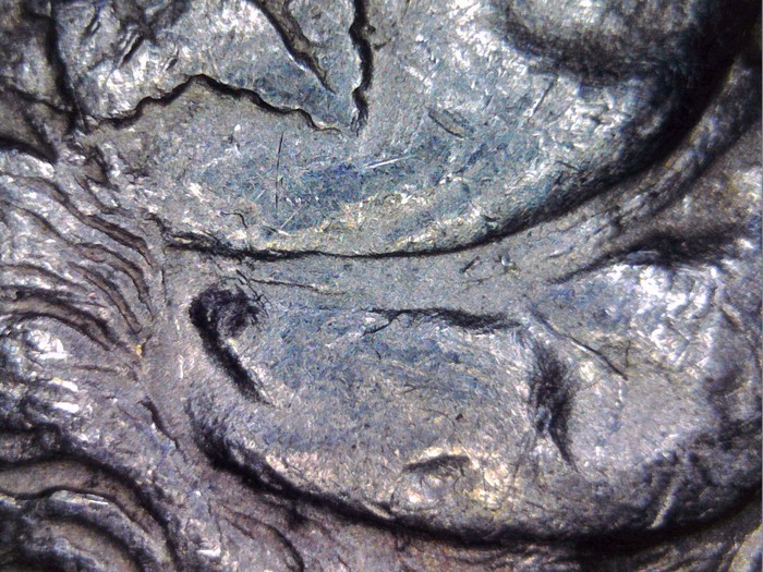 1878P JR112517 CapRibbon.jpg