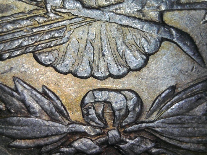 1878P JR112517 Bow.jpg