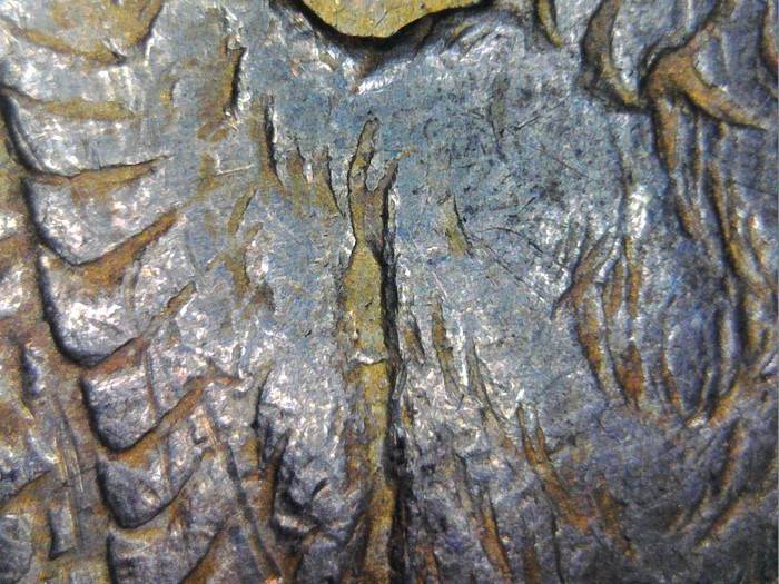 1878P JR112517 RtWingGouge.jpg