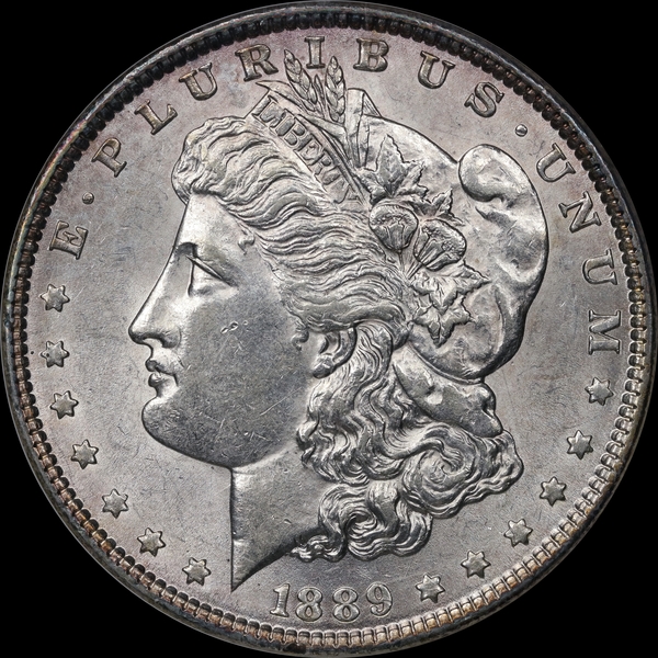 1889P WR032524 Obv LFCP.jpg