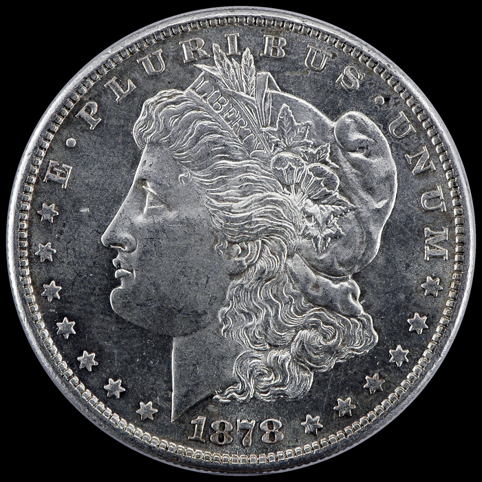 1878S SD 7631 Obv 0859 LFCP.jpg