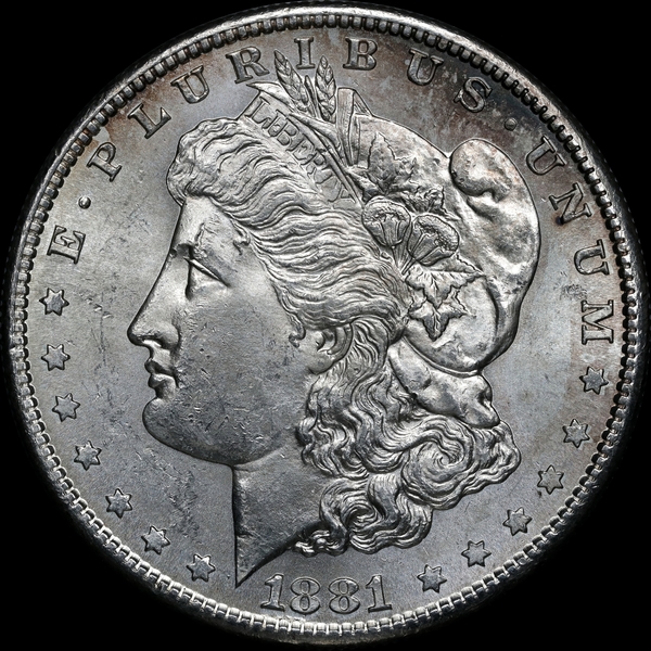 1881S AW020420 Obv LFCP.jpg