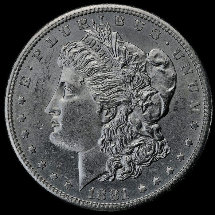 1881S AW040619 Obv LFCP.jpg