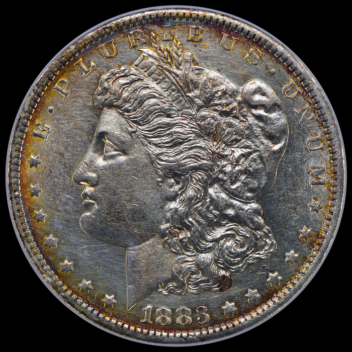 1883O V01C2 5137 Obv 5959b 5000 LFCP.jpg