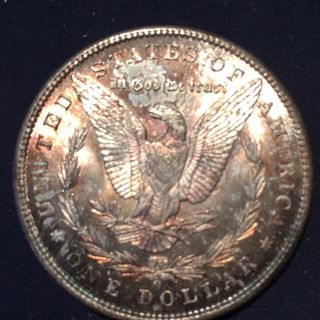 TF754812_1898O_Rev_LFCP