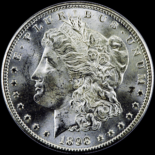 1898O_VNA8_9094_Obv_2620_2000_LFCP