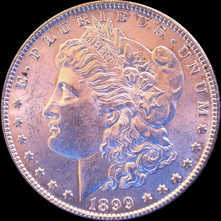 1899O_rmg042517_Obv_LFCP