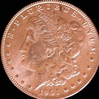 1901O_rmg111717_Obv_LFCP