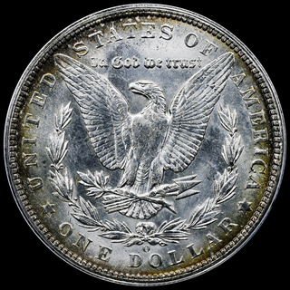 1902O_RTMLAE041119_Rev_LFCP_DSC_7567