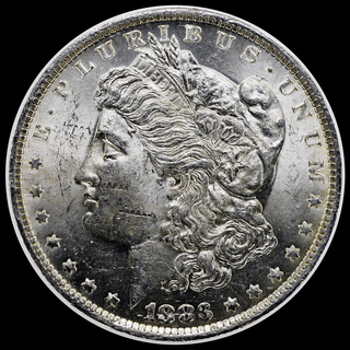 1883O_TF281537_Obv_LFCP